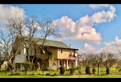 Vila de poveste 5 camere zona Bolintin Vale, judetul Giurgiu - 1