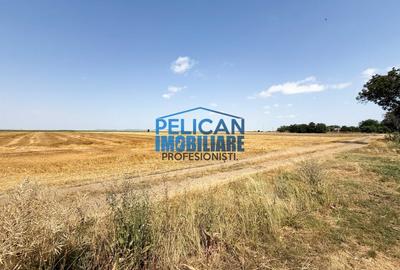 Teren Construcții intravilan de 4000 mp, în Mihail Kogălniceanu - 8