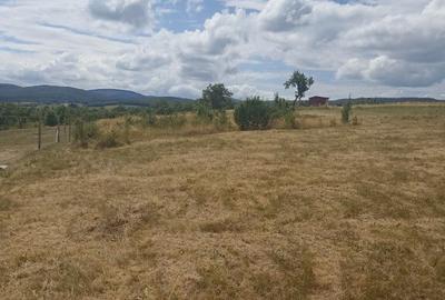 De vanzare teren extravilan in Valea Crisului - 1