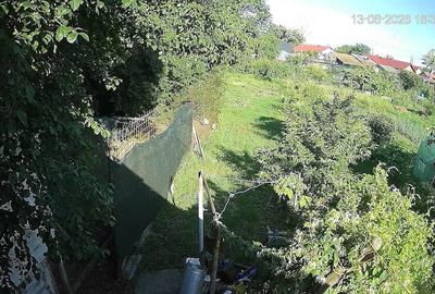 Casă cu Teren 5000 Mp în Cornu - 4