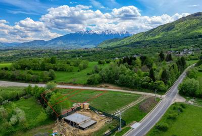 Teren Construcții intravilan de 500 mp, în Tohănița - 6
