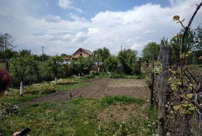 Spațiu comercial, de 1,150 mp, în Lespezi - 1