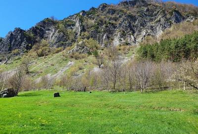 Teren intravilan de 3290 mp, în Lepșa - 8