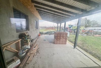 Casă cu 4 camere cu Teren 780 Mp în Câmpineanca - 2