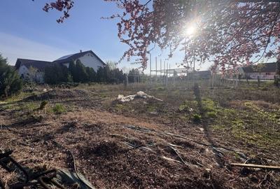 Teren Construcții intravilan de 750 mp, în Becicherecu Mic - 4