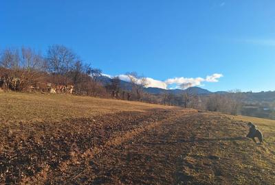 Spațiu comercial, în Sohodol - 3