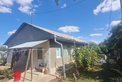 Casă cu 3 camere în Livedea - 5