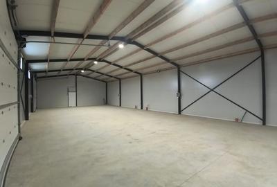 Spațiu industrial, de 300 mp, în Cotu Băii - 2