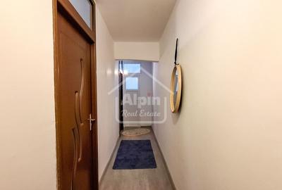 Suprafata Generoasa I Zona Gemenii - 7