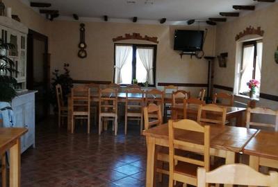 Spațiu comercial, de 320 mp, în Hălăucești - 1