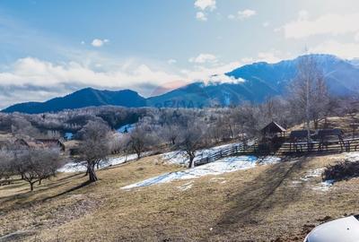 Teren Construcții intravilan de 2495 mp, în Sohodol - 8