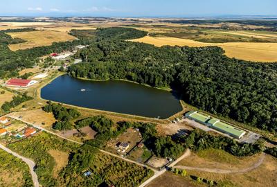 Teren agricol extravilan de 125077 mp, în Herneacova - 2
