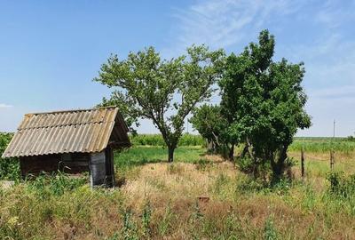 Spațiu comercial, în Cantemir - 6