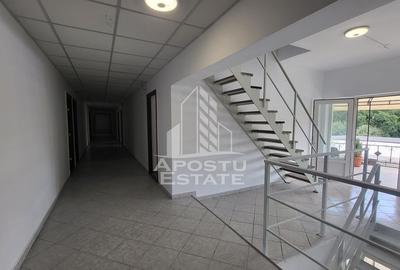 Casă cu 5 camere cu Teren 1000 Mp în Badea Cârțan - 9