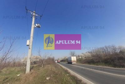 Teren Construcții intravilan de 4800 mp, în Glina - 23