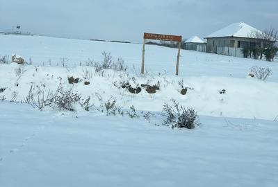 Teren Construcții intravilan de 1969 mp, în Oșorhei