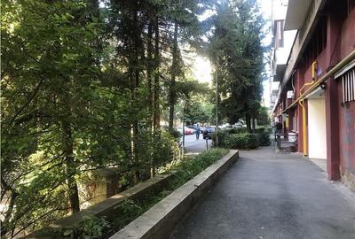 Apartament 2 Camere cu vedere deosebita la Bulevard Victoriei - 5