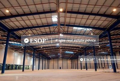 Spațiu industrial, de 4,500 mp, în Remetea Mare - 2