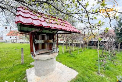 Casă cu 2 camere cu Teren 3315 Mp în Boroșneu Mare