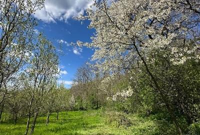 Casă individuală cu 4 camere cu Teren 1300 Mp în Teișani - 3