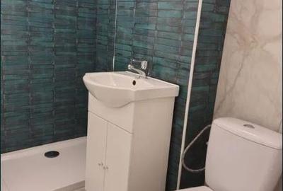 Garsoniera Dristor renovata - 4