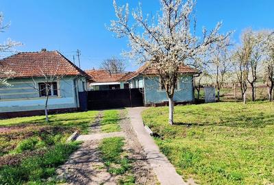 Casă cu 4 camere în Berechiu - 2