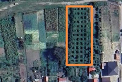 Teren de 1400 mp, în Central