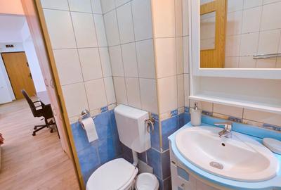 2 camere Cantemir - Unirii et 3 mobilat - 8