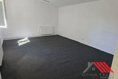 Lipovei - Dedeman - Spatiu Birouri - 22 mp - 150 euro - 3