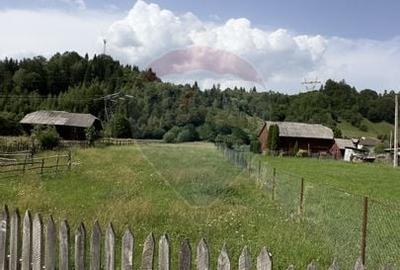 VANZARE Teren intravilan 3350 mp Podu Dambovitei ARGES - 8