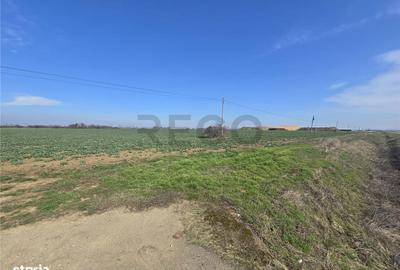 Spațiu comercial, în Nojorid - 1