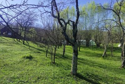 Teren de 1506 mp, în Drajna