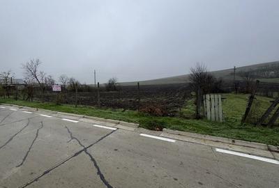 Spațiu comercial, în Coroiu - 2