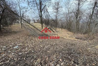 Casă cu Teren 3074 Mp în Cornu - 1