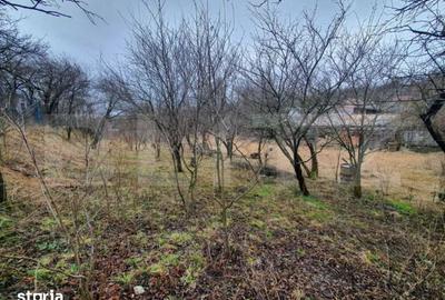 Casă cu 2 camere cu Teren 1700 Mp în Feleacu - 4