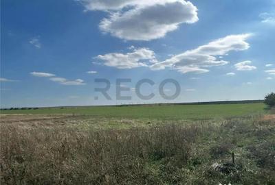 Teren de 25100 mp, în Sântandrei - 1