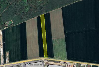 Teren Vanzare Intravilan Branesti investitie Zona Industrial - 18