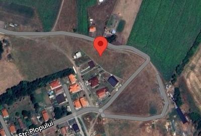 Spațiu comercial, în Central