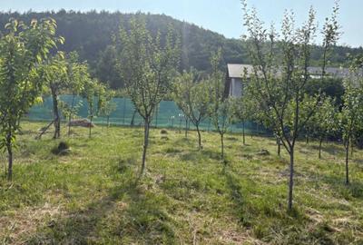 Casă cu 3 camere în Fântânele - 6