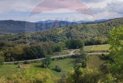 Teren de 3082 mp, în Damiș - 1