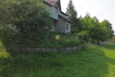 Teren 4800 mp cu Livada si Casa Nefinalizata - Adancata! - 15