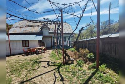Casă cu 6 camere cu Teren 711 Mp în Leontinești - 12