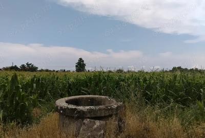 Casa de vanzare in Domanesti - 8