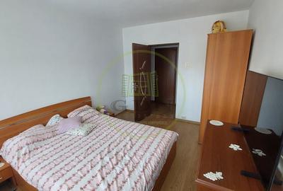 Apartament cu 3 camere decomandat, mobilat în Brazda lui Novac - 2