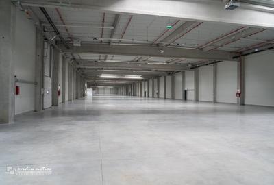 Hale productie sau depozite - 2