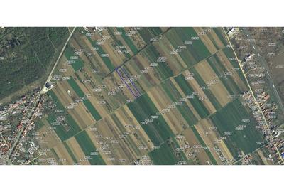 Teren agricol 6000 mp Lugoj – între Str. Cloșca și Centură - 1