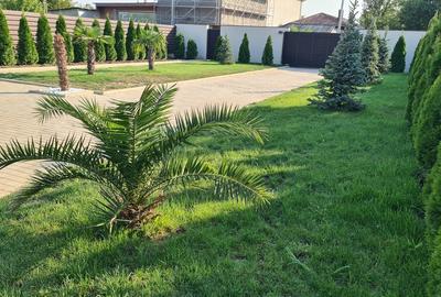 Vila de lux + piscina - 13