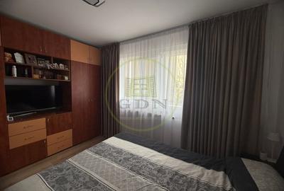 Apartament cu 3 camere semidecomandat, mobilat în Brazda lui Novac - 3