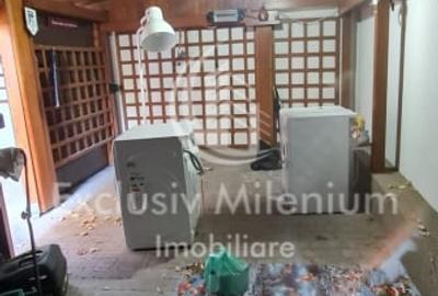 Casa /Vila Lacul Tei D+P+1+M Renovata - 15