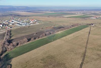 Teren agricol extravilan de 15482 mp, în Hărman - 4